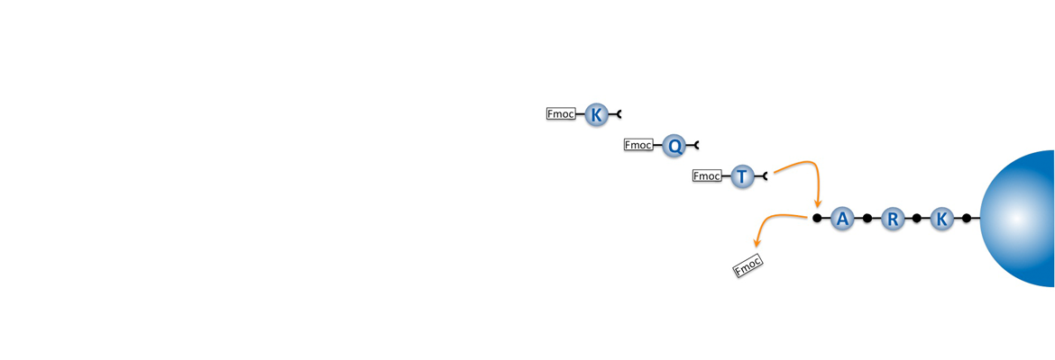 BIOSYNTAN Custom Peptide Synthesis