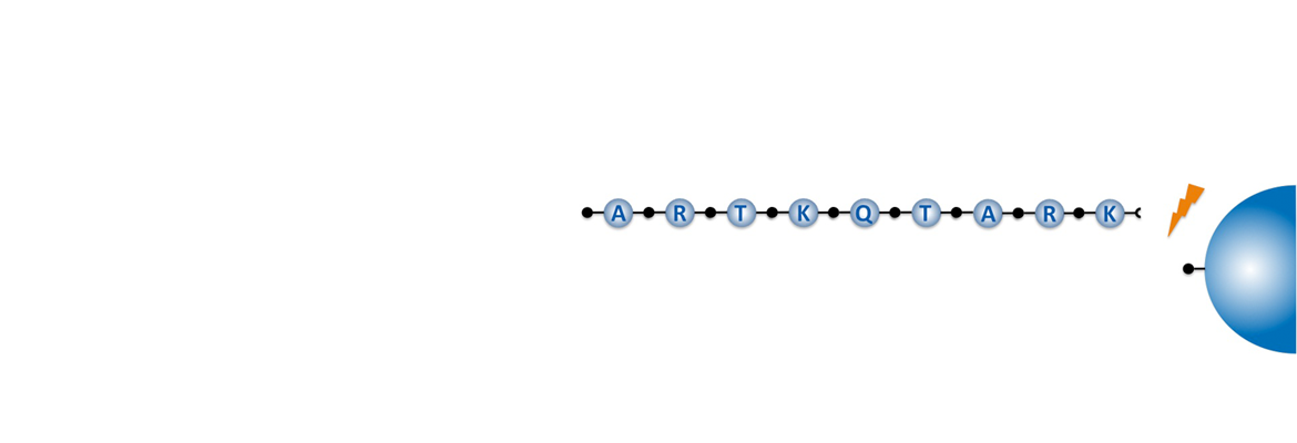 BIOSYNTAN Custom Peptide Synthesis