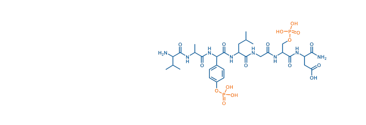 Phosphorylation