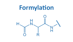 N-terminal Derivatization by Formylation