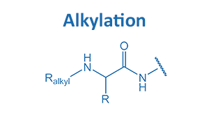N-terminal Derivatization by Alkylation